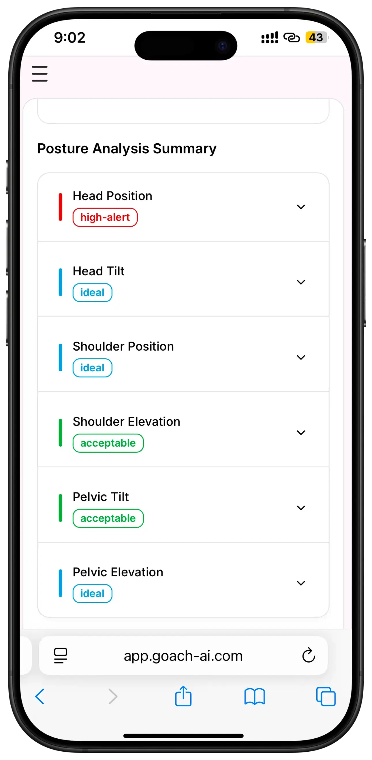 Posture analysis summary with clinical status indicators